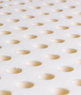Natural Organic Mattress and Adjustable Beds